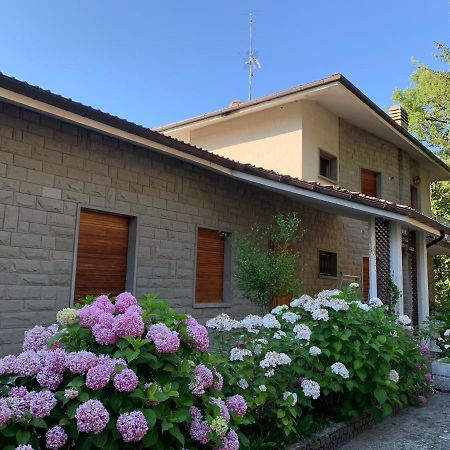 Peaceful Country Living At Apartments At Villa Clara Vimignano-Chiesa المظهر الخارجي الصورة